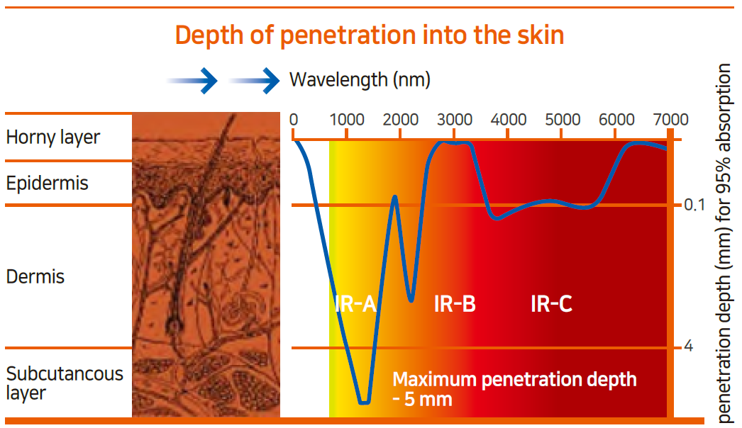 Depth Of Penetration Into Skin